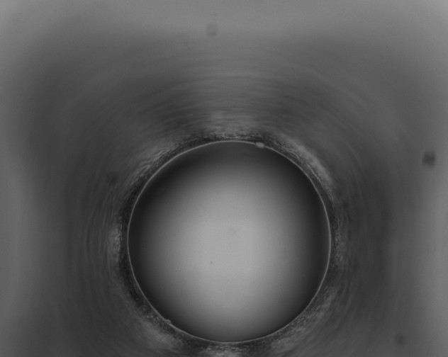 X0000097970113200804011730