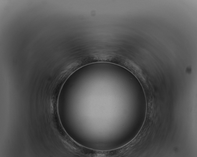 X0000097970114200804011730