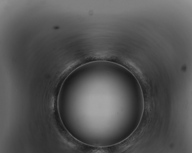 X0000097970115200804011730