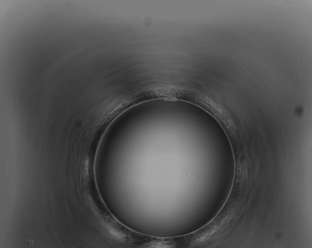 X0000097970117200804011730