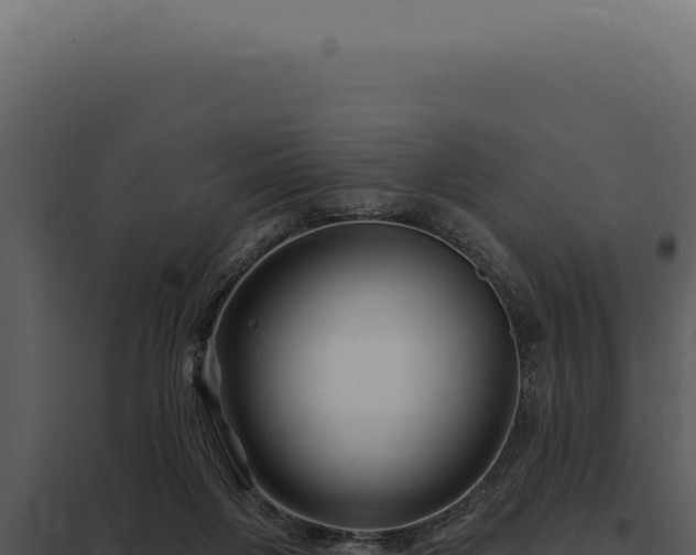 X0000097970119200804011730