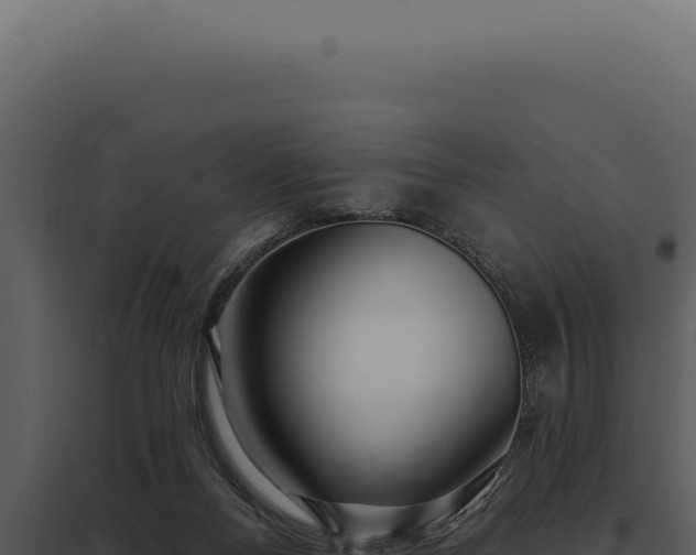 X0000097970120200804011730