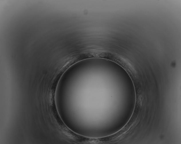 X0000097970121200804011730