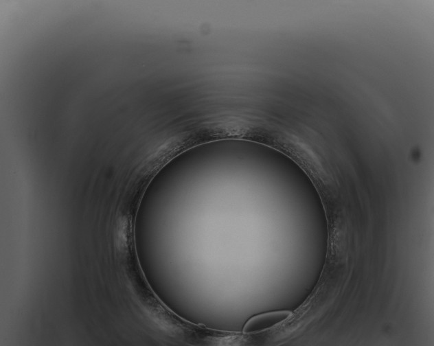 X0000097970122200804011730