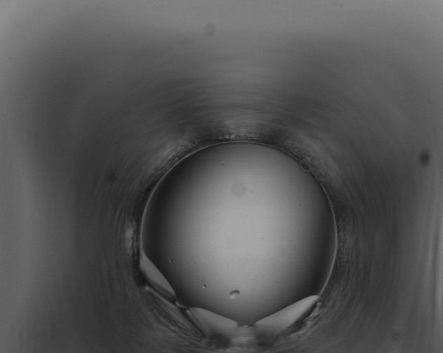 X0000097970123200804011730