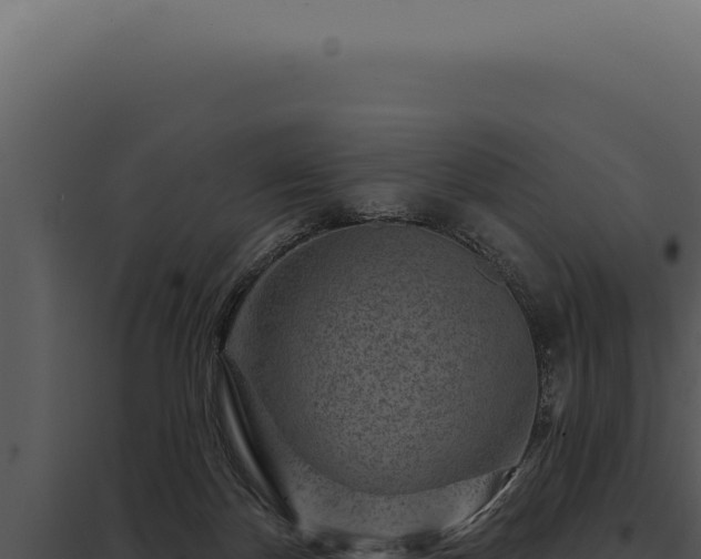 X0000097970124200804011730