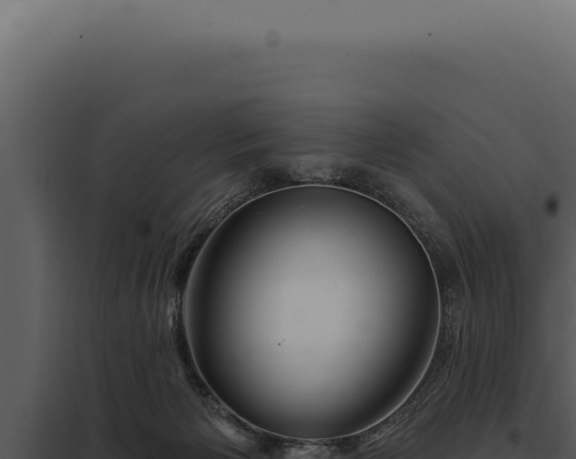 X0000097970125200804011730