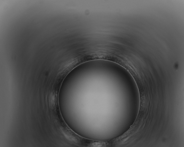 X0000097970126200804011730