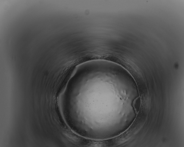 X0000097970127200804011730