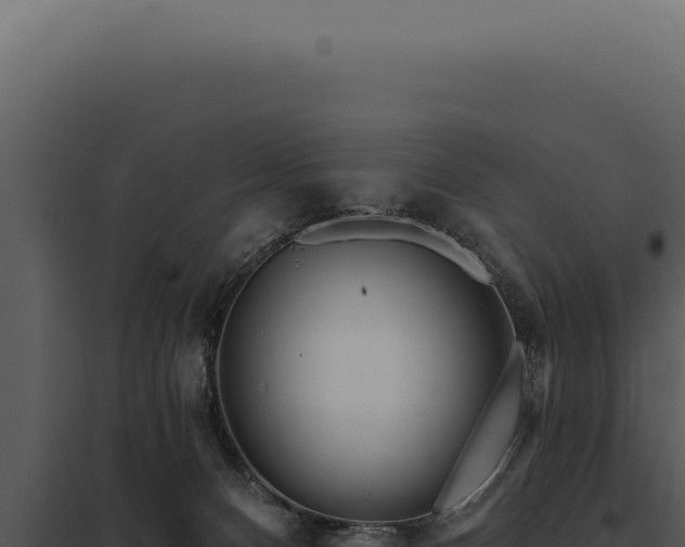 X0000097970128200804011730