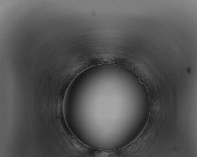 X0000097970129200804011730