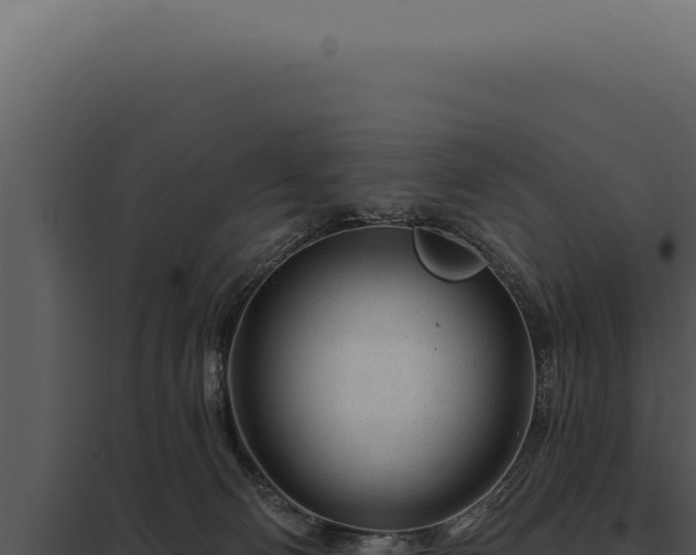 X0000097970130200804011730