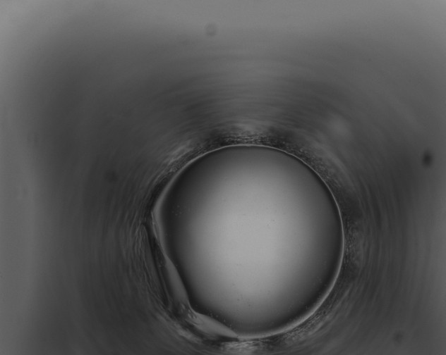 X0000097970131200804011730