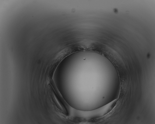 X0000097970132200804011730