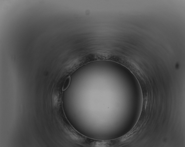 X0000097970134200804011730