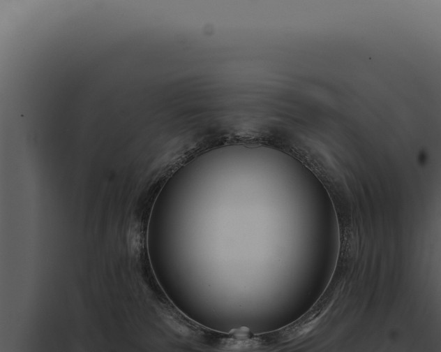 X0000097970135200804011730