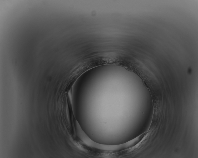 X0000097970136200804011730