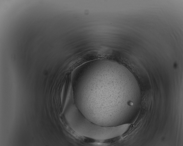 X0000097970137200804011730