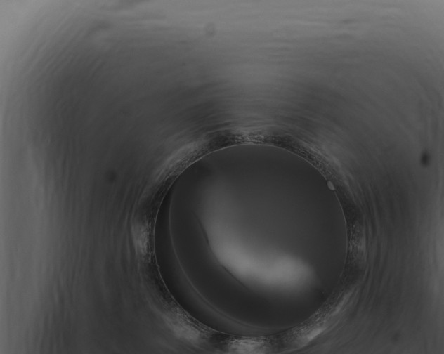 X0000097970139200804011730