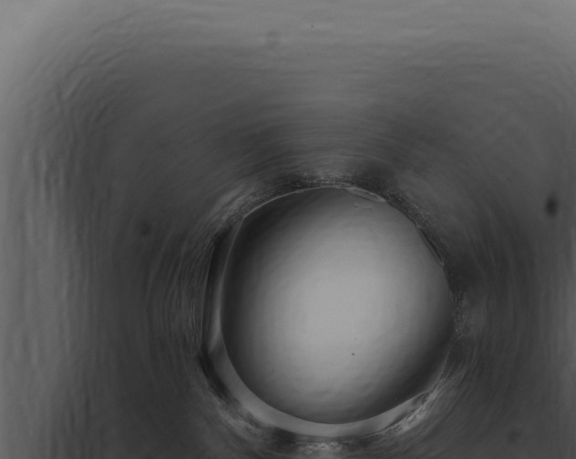 X0000097970140200804011730