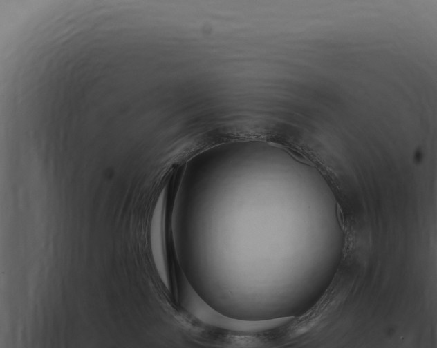 X0000097970141200804011730