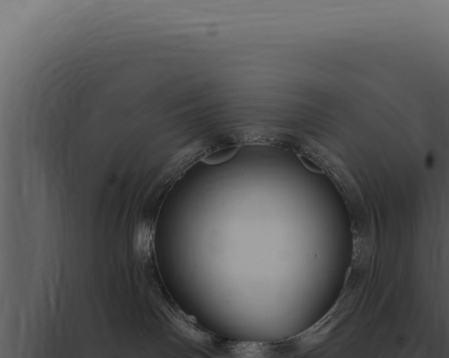 X0000097970142200804011730