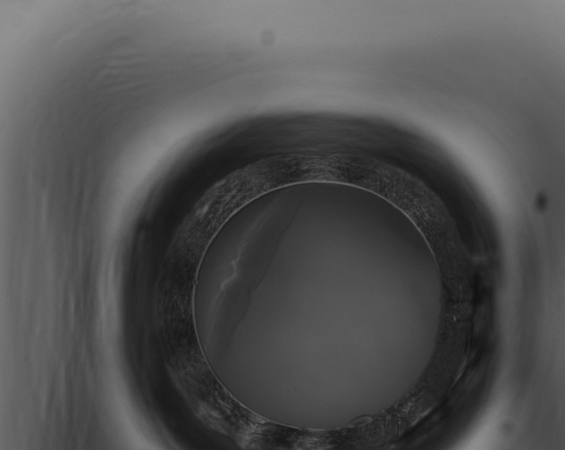 X0000097970143200804011730