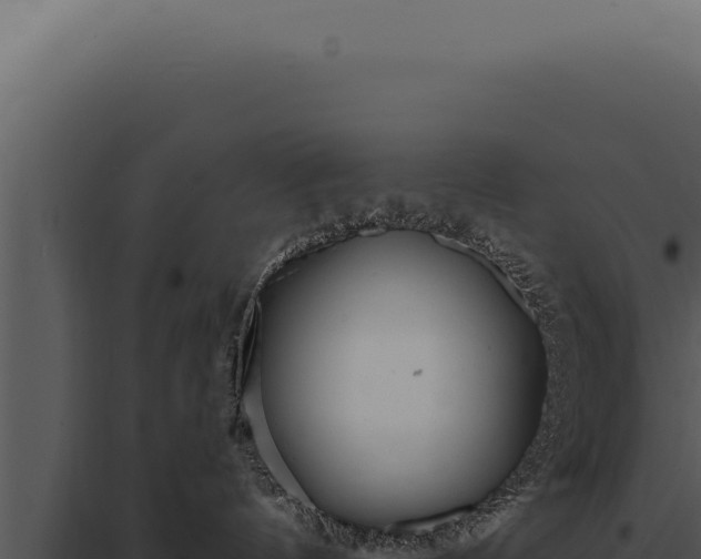 X0000097970144200804011730