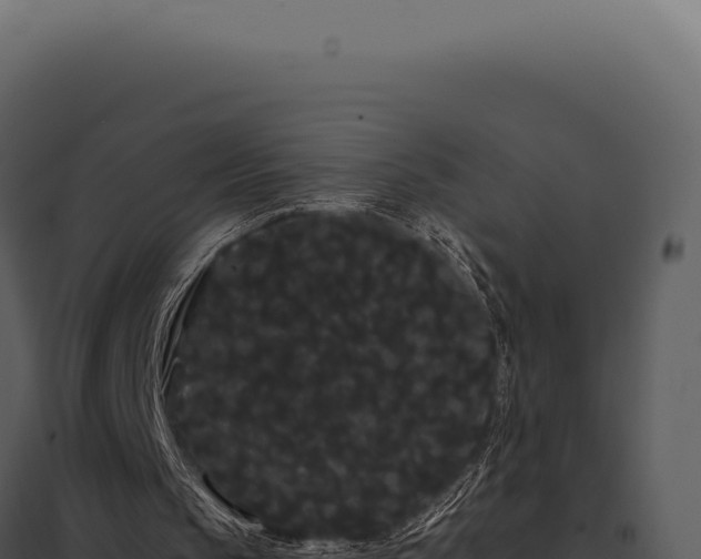 X0000097970145200804011729