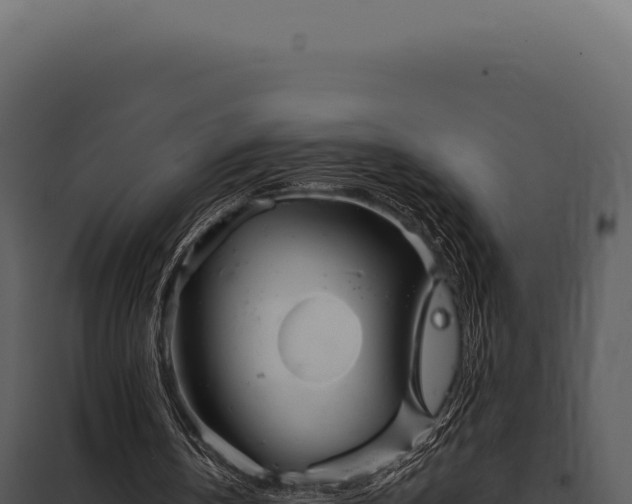 X0000097970146200804011729