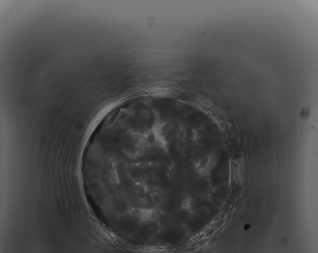 X0000097970147200804011729