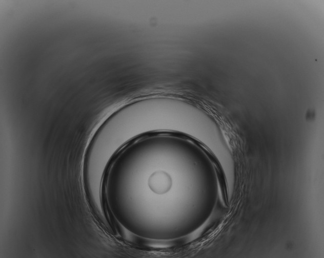 X0000097970148200804011729