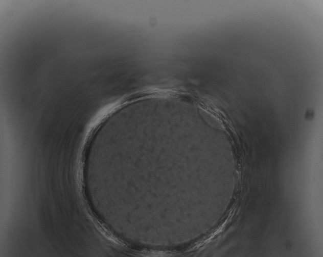 X0000097970149200804011729