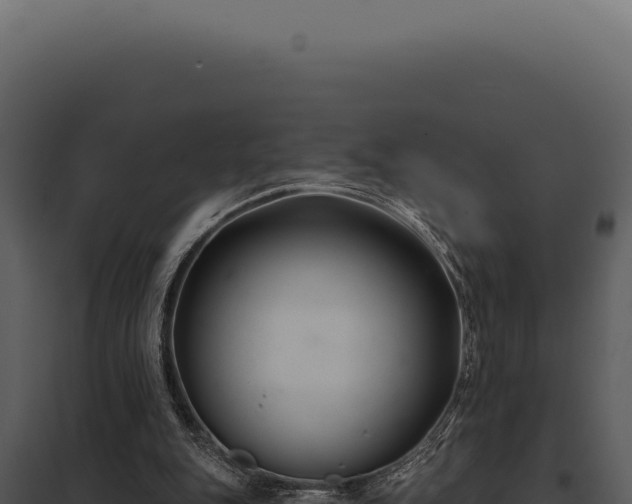 X0000097970151200804011729