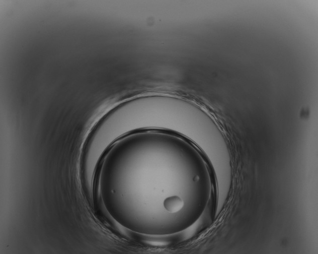 X0000097970152200804011729