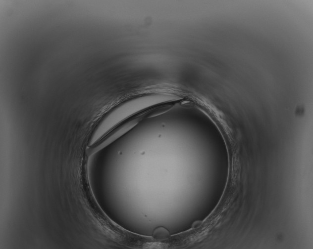 X0000097970153200804011729