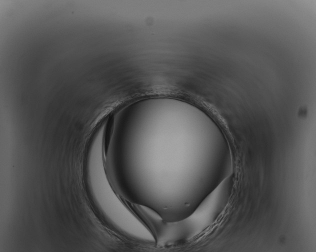 X0000097970154200804011729