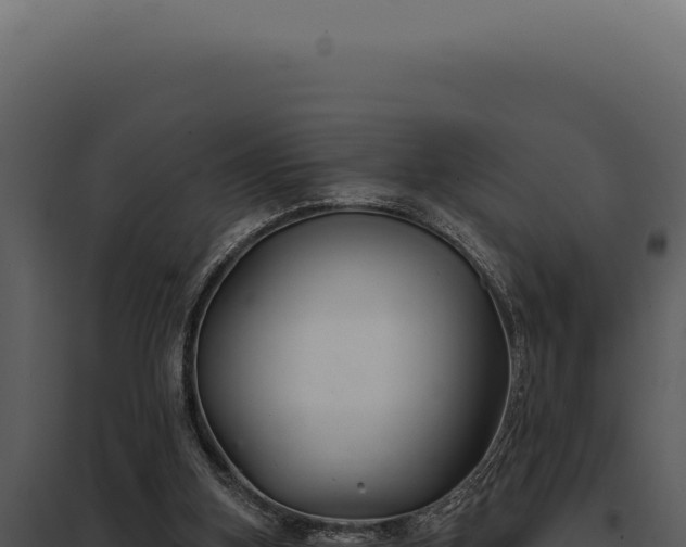 X0000097970155200804011729