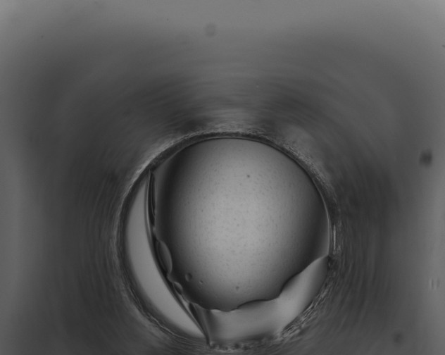 X0000097970156200804011729