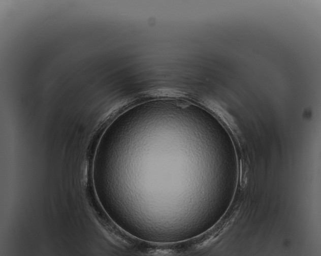 X0000097970157200804011729