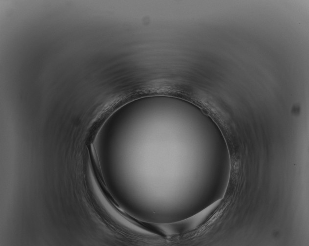 X0000097970158200804011729