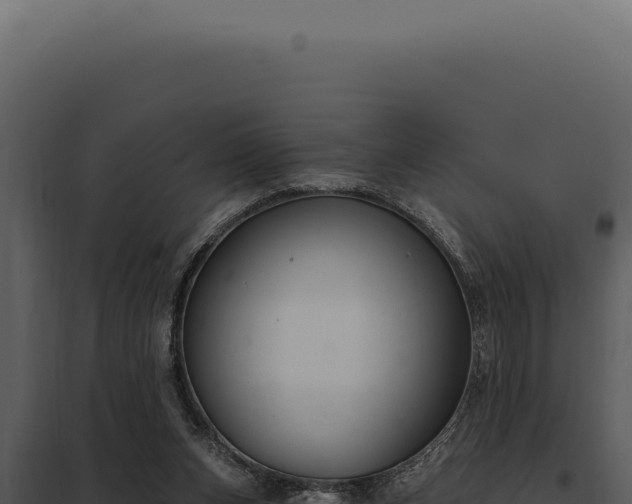 X0000097970159200804011729