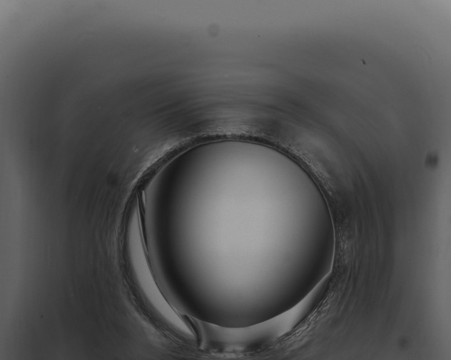 X0000097970160200804011729