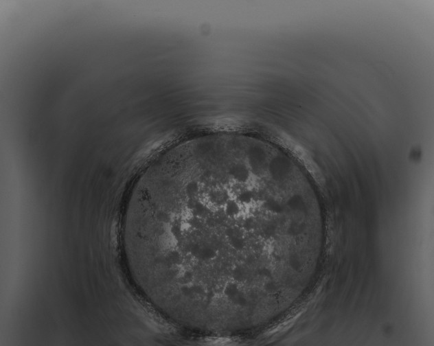 X0000097970161200804011729