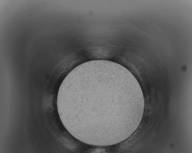 X0000097970162200804011729