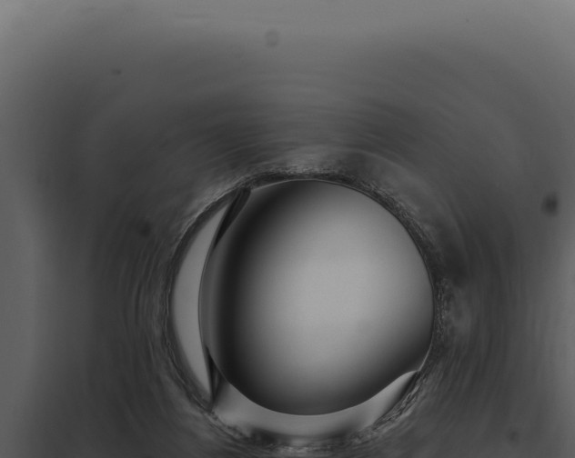 X0000097970164200804011729