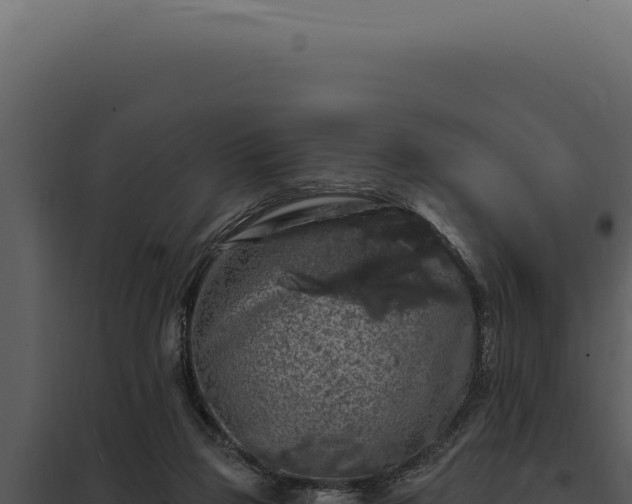 X0000097970165200804011729