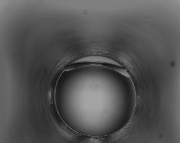 X0000097970166200804011729