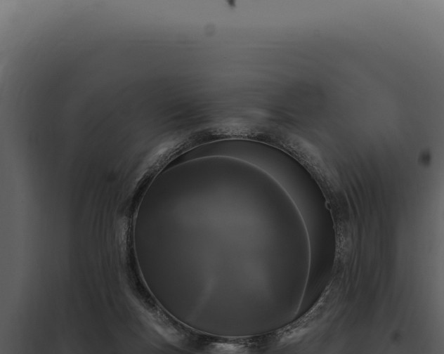 X0000097970167200804011729