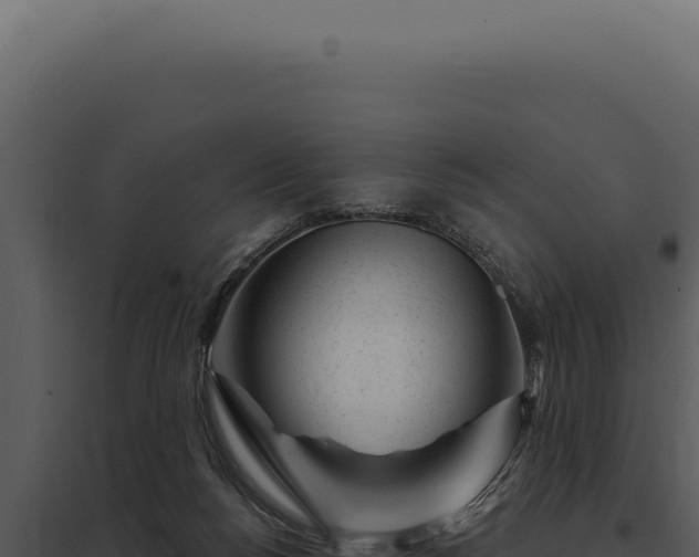 X0000097970168200804011729